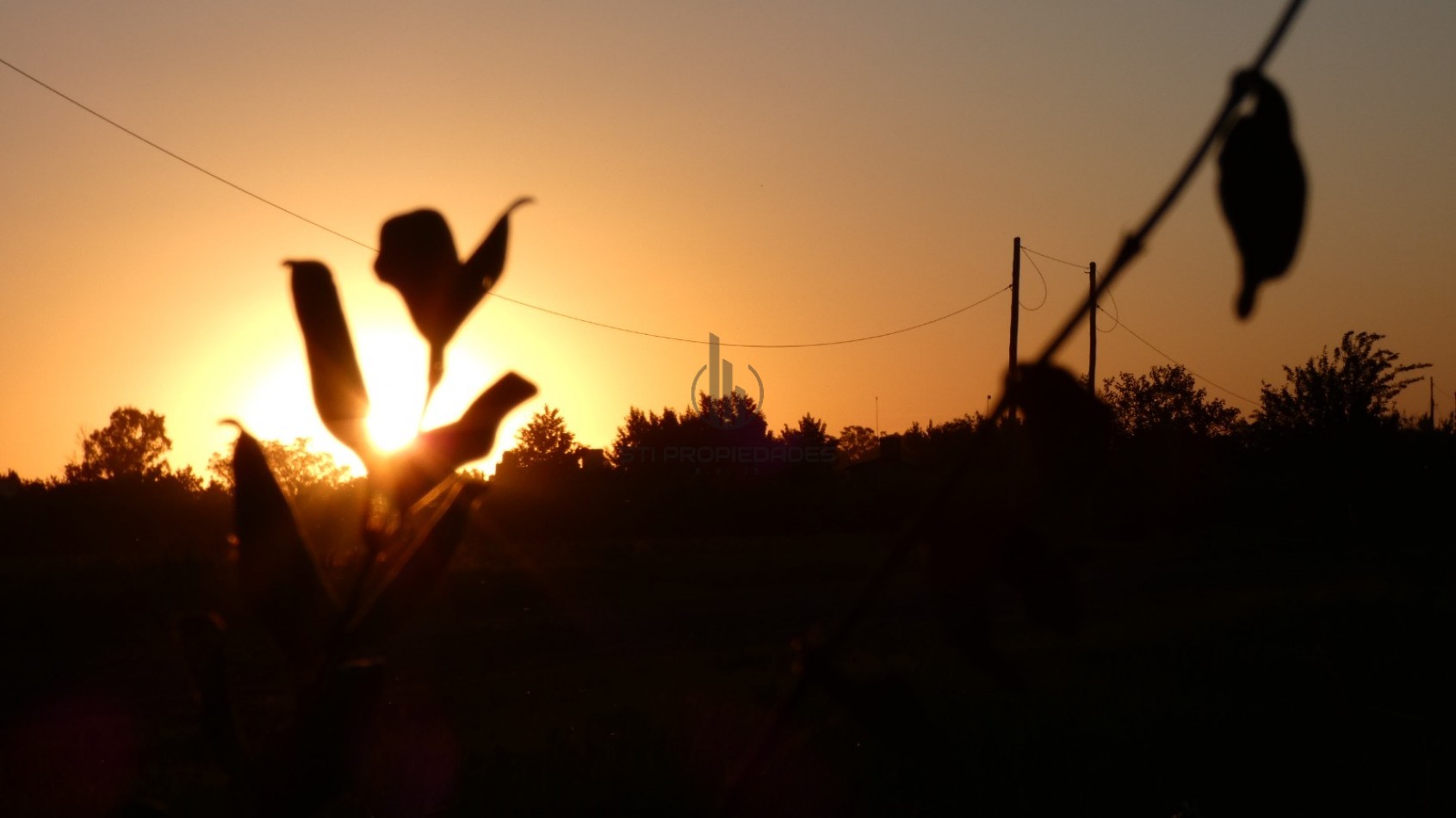 CONDOMINIO DE ALVEAR - Entrega y ctas fijas