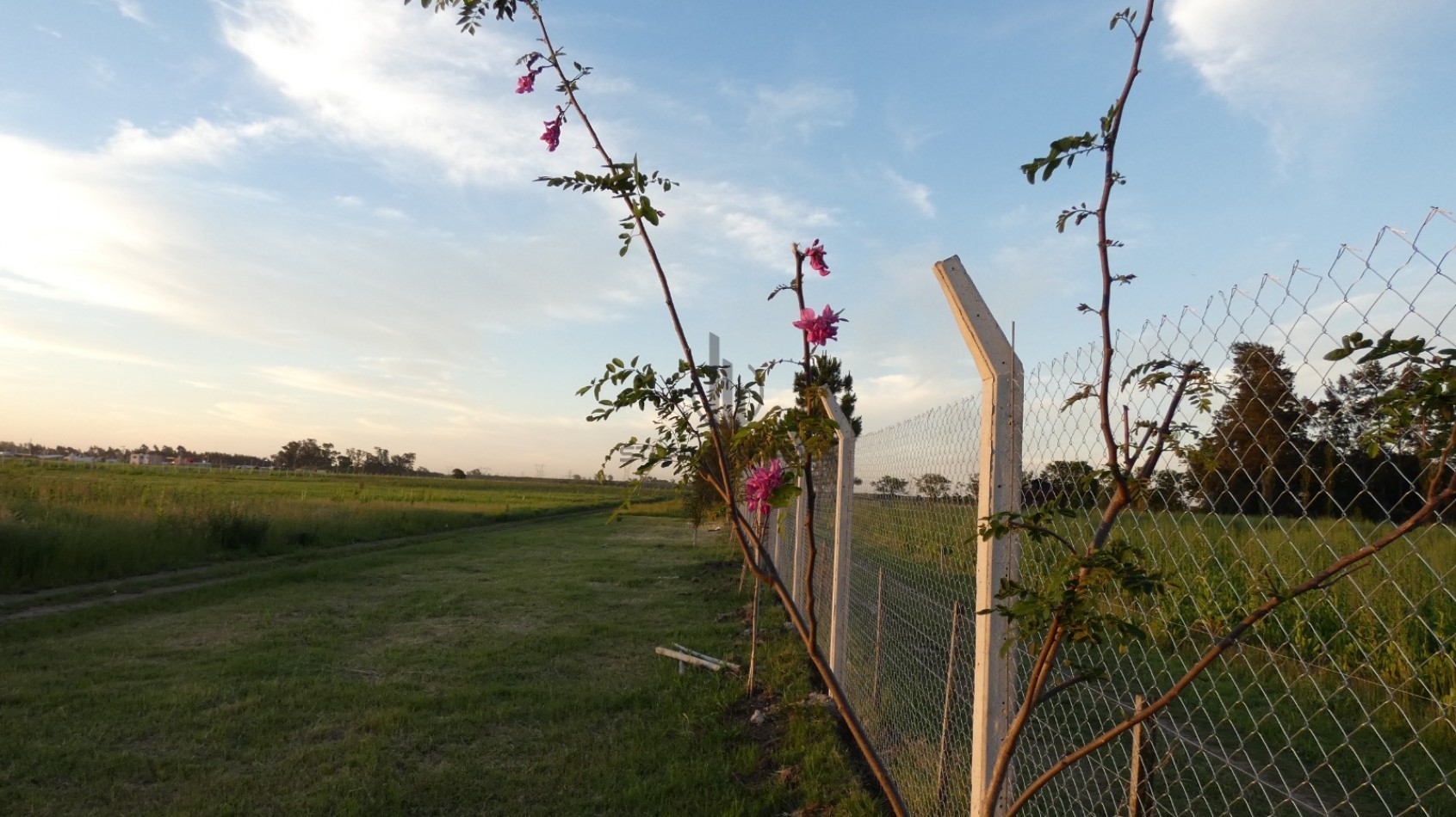 CONDOMINIO DE ALVEAR - a 30' de Funes - Entrega y ctas fijas